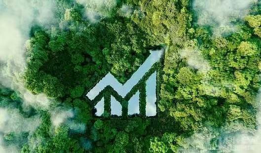 Annual domestic and overseas sales exceeded 1,000,000 units for the first time;<br>Added 65,000 square feet of production base in Jiangning District, Nanjing.