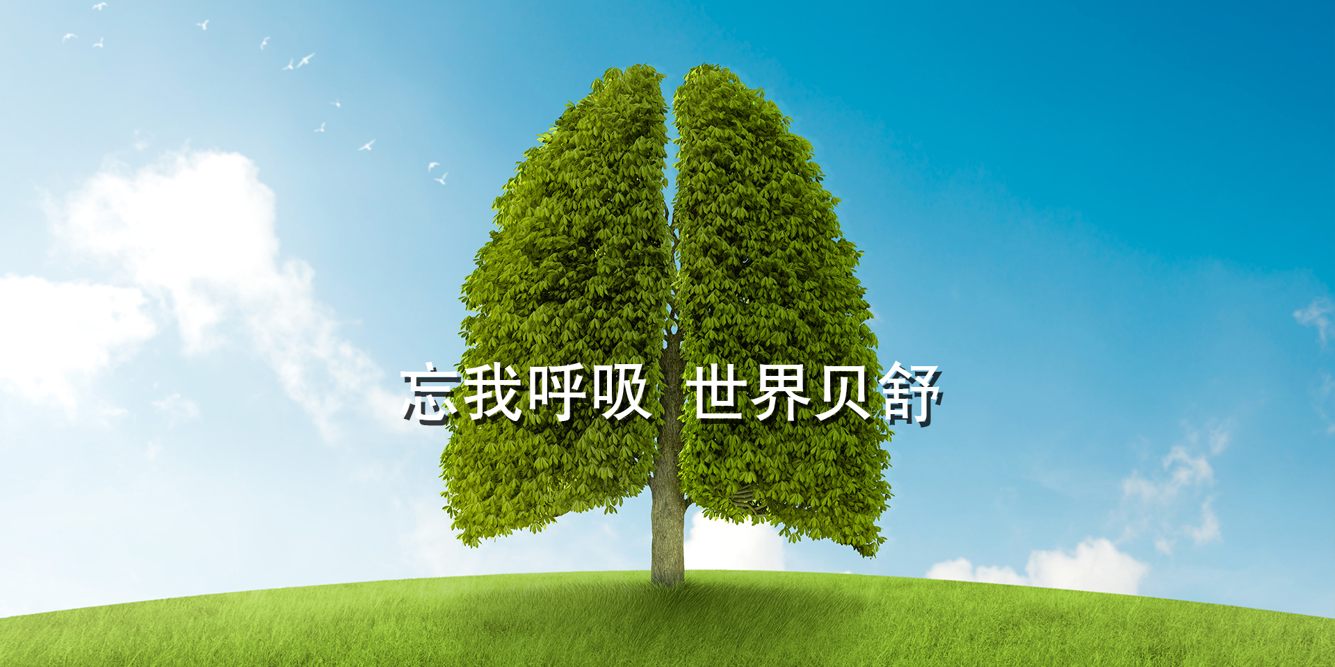 苏州贝舒医疗科技有限公司